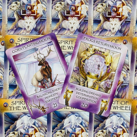 Spirit Of The Wheel Meditation cards US Games Systems