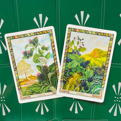 The Druid Plant Oracle Cards Welbeck Publishing