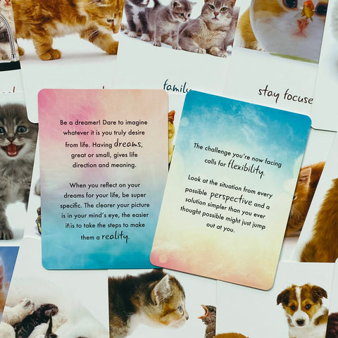 Cat Wisdom cards Blue Angel