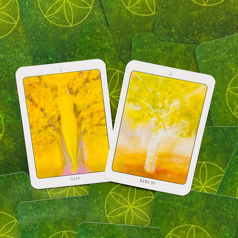 The Tree Angel Oracle Cards And Book Set Earth Dancer