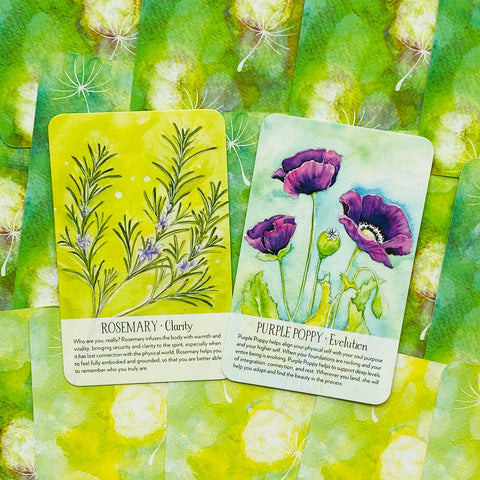 Soulflower Plant Spirit Oracle cards Findhorn Press