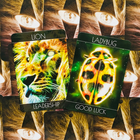 Spirit Animal Oracle Cards Beyond Words