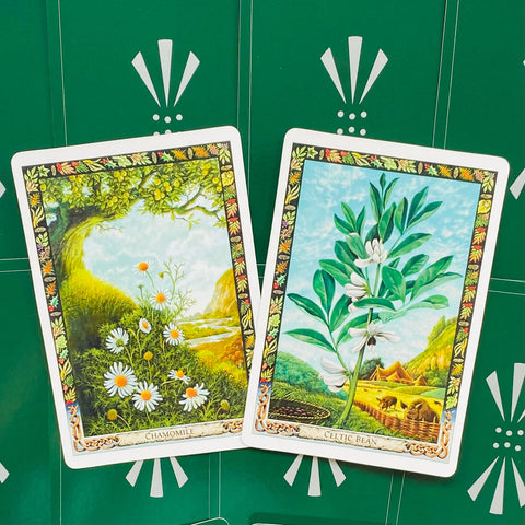 The Druid Plant Oracle Cards Welbeck Publishing