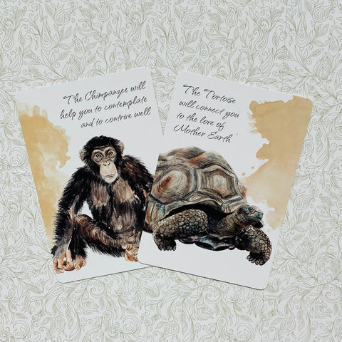 Power Animals Cards AGM