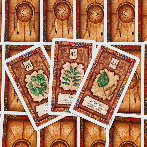 Shaman Wisdom Cards US Games Systems