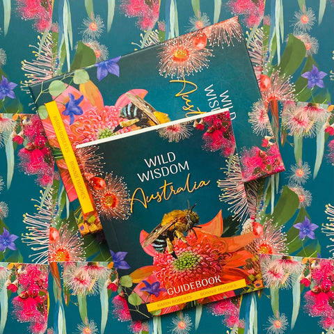 Wild Wisdom Australia Oracle oracle Blue Angel