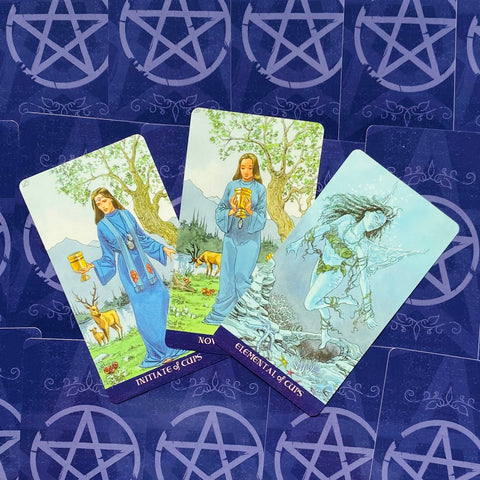 Pagan Tarot Deck and Book Set Lo Scarabeo