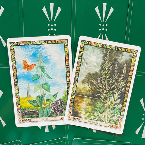 The Druid Plant Oracle Cards Welbeck Publishing