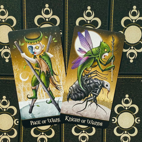 Deviant Moon Borderless Edition Tarot cards US Games Systems
