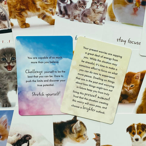 Cat Wisdom cards Blue Angel
