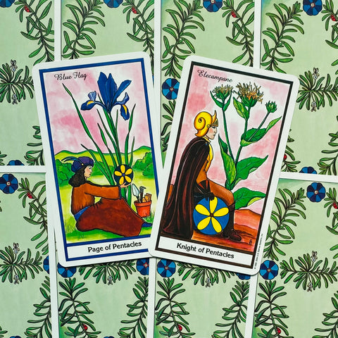 The Herbal Tarot cards US Games Systems