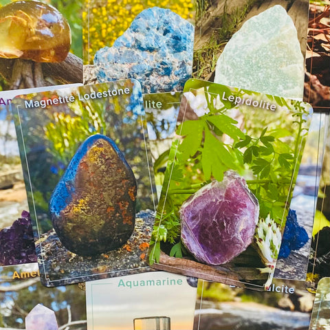 Crystal Connections Message Cards Animal Dreaming