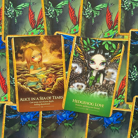 Oracle Of The Shapeshifters Cards Beyond Words