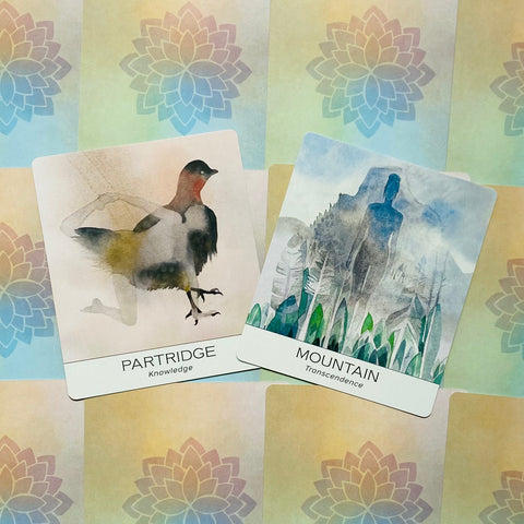 Nature and Soul Yoga Wisdom cards US Games Systems