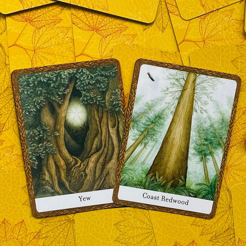 The Wisdom Of Trees Oracle Cards Watkins Publishing