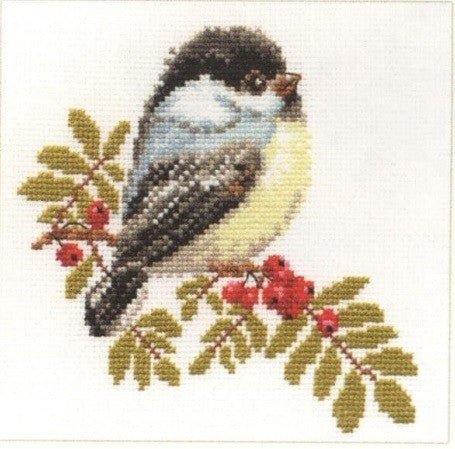 Alisa Siuvinėjimo rinkinys "Paukštukas" 1 - 12 (15x14 cm) - Hobby.lt 🇬🇧