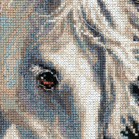 Andalusian character - Cross Stitch Kit from RIOLIS Ref. no.:1451 - Hobby.lt 🇬🇧