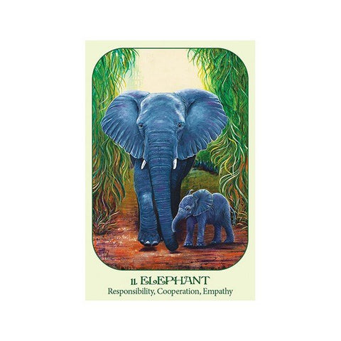 Animal Voices Oracle Cards Blue Angel - Hobby.lt 🇬🇧