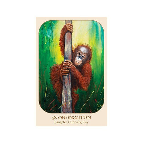 Animal Voices Oracle Cards Blue Angel - Hobby.lt 🇬🇧