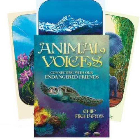 Animal Voices Oracle Cards Blue Angel - Hobby.lt 🇬🇧