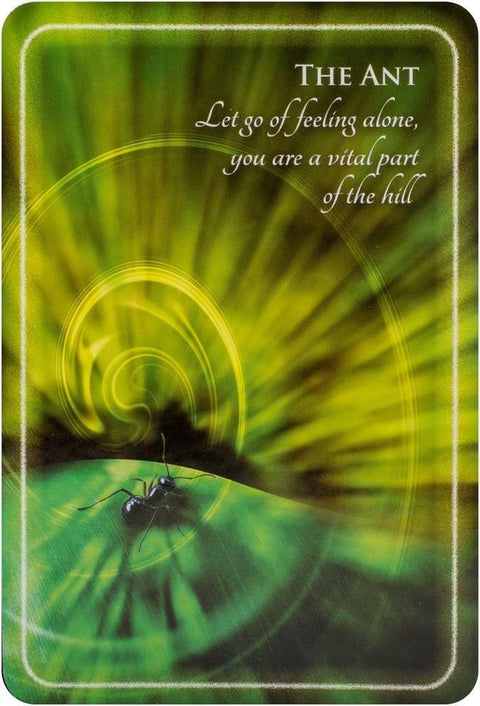 Animal Whispers Empowerment Cards Findhorn Press - Hobby.lt 🇬🇧