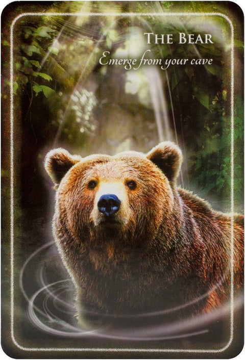 Animal Whispers Empowerment Cards Findhorn Press - Hobby.lt 🇬🇧