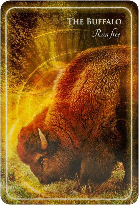 Animal Whispers Empowerment Cards Findhorn Press - Hobby.lt 🇬🇧