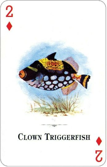 Aquarium Fish of the Natural World playing cards - Hobby.lt 🇬🇧
