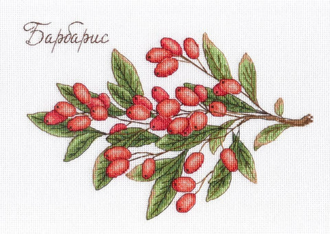 Barberry SNV - 619 cross stitch kit by MP Studio - Hobby.lt 🇬🇧