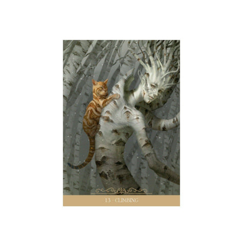 Barbieri Fantasy Cats Oracle Cards Lo Scarabeo - Hobby.lt 🇬🇧
