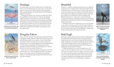 Bird Messages Cards Cico Books