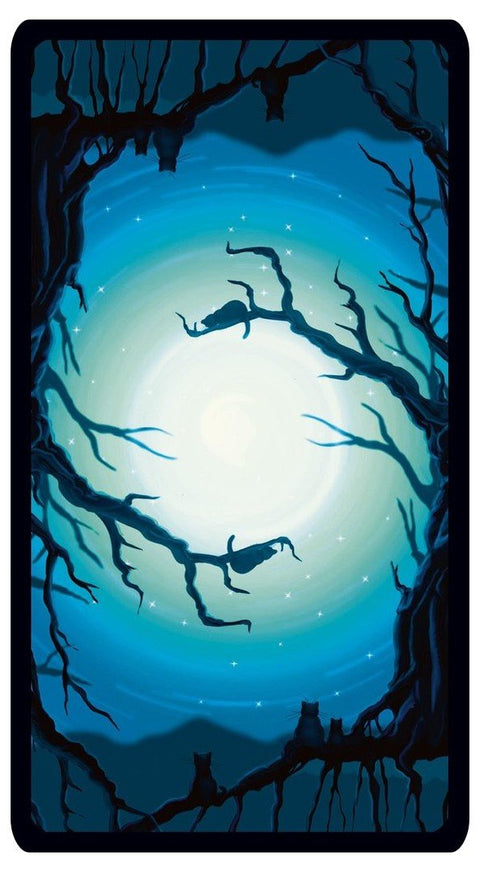 Black Cats Tarot Cards Lo Scarabeo - Hobby.lt 🇬🇧