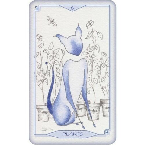 Bleu Cat Tarot Cards Schiffer Publishing - Hobby.lt 🇬🇧