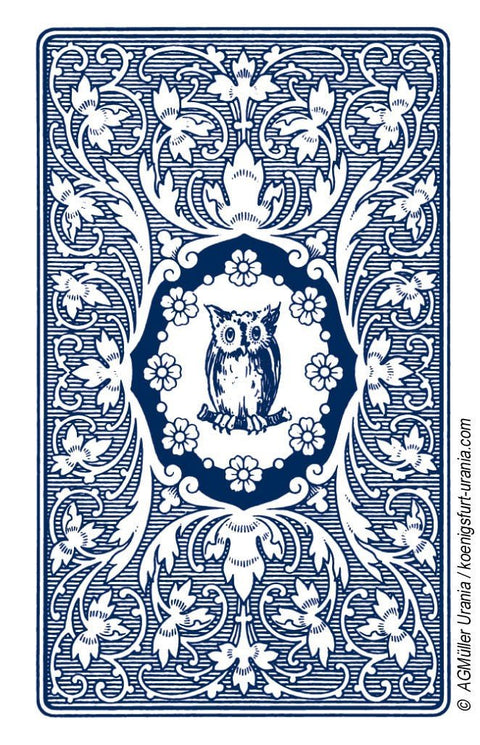 Blue Owl Tarot Cards AGM - Hobby.lt 🇬🇧