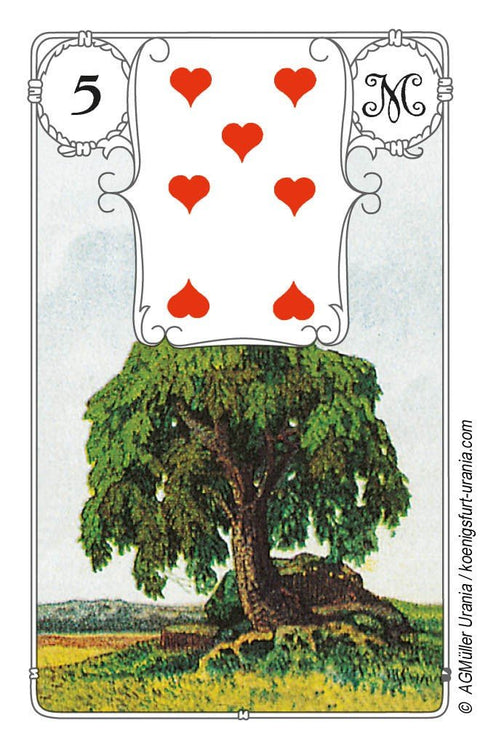 Blue Owl Tarot Cards AGM - Hobby.lt 🇬🇧