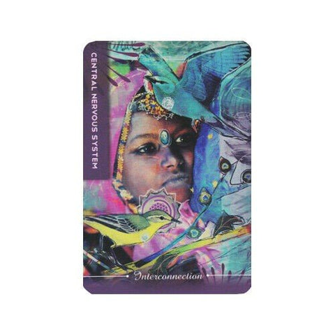 Body Cards Tarot Cards Schiffer Publishing - Hobby.lt 🇬🇧