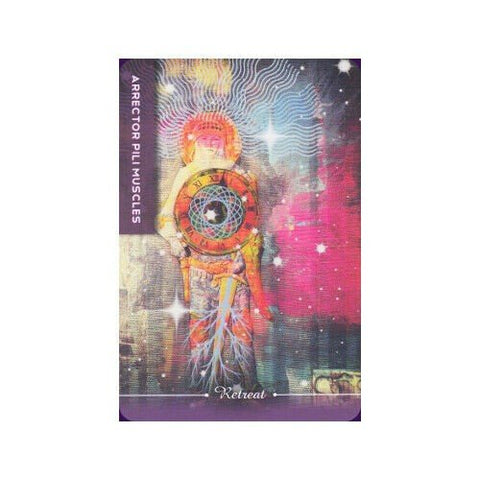 Body Cards Tarot Cards Schiffer Publishing - Hobby.lt 🇬🇧