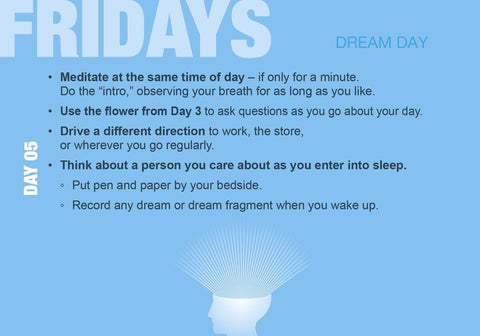 Build Your Psychic Skills The 90 Day Plan Cards Schiffer Publishing - Hobby.lt 🇬🇧