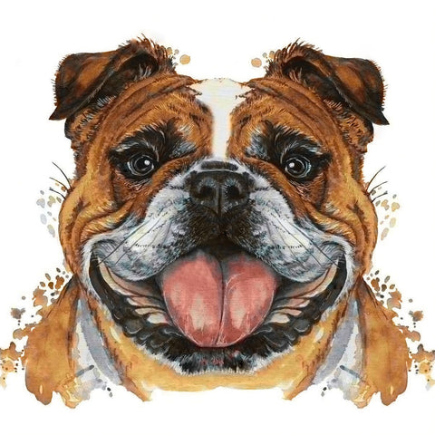 Bulldog 20х20 Diamond Painting Set Cs2718 - Hobby.lt 🇬🇧