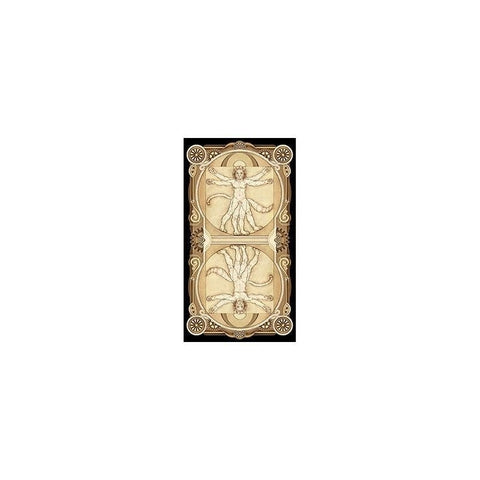 Cat Tarot Cards Lo Scarabeo - Hobby.lt 🇬🇧