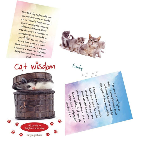 Cat Wisdom cards Blue Angel - Hobby.lt 🇬🇧