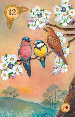 Celtic Lenormand cards US Games Systems - Hobby.lt 🇬🇧
