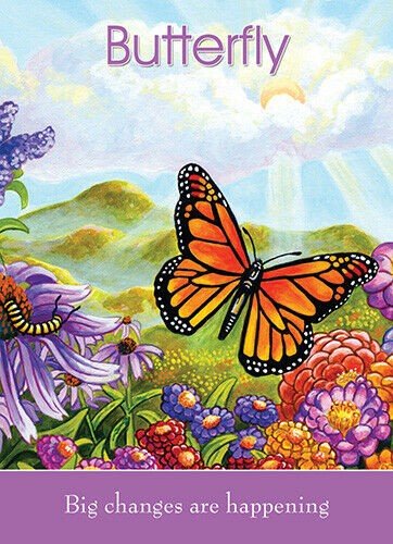 Childrens Spirit Animal Cards Blue Angel - Hobby.lt 🇬🇧