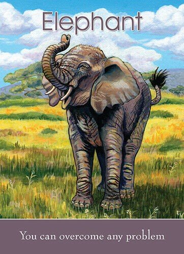 Childrens Spirit Animal Cards Blue Angel - Hobby.lt 🇬🇧