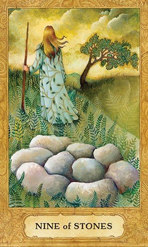 Chrysalis tarot cards and book set US Games Systems - Hobby.lt 🇬🇧