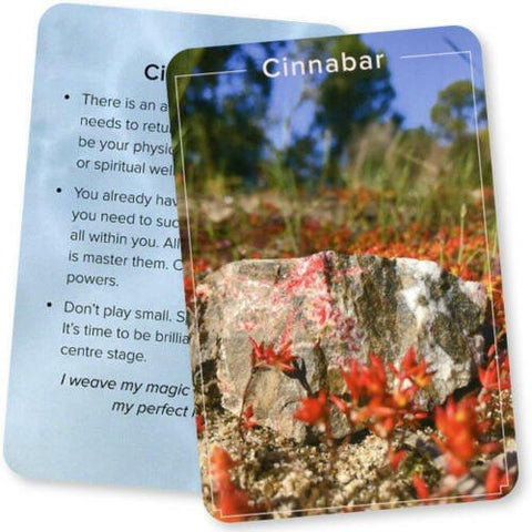 Crystal Connections Message Cards Animal Dreaming - Hobby.lt 🇬🇧