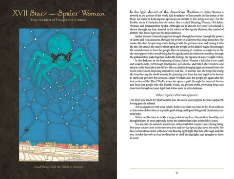 Dark Goddess Tarot Cards Schiffer Publishing - Hobby.lt 🇬🇧