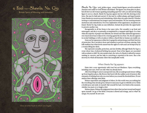 Dark Goddess Tarot Cards Schiffer Publishing - Hobby.lt 🇬🇧