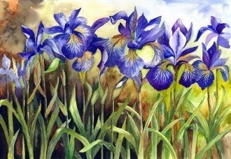 Diamond painting Blue Irises AZ - 1248 Size: 40х28 - Hobby.lt 🇬🇧
