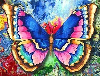 Diamond painting Butterfly AZ - 1130 Size: 40х30 - Hobby.lt 🇬🇧